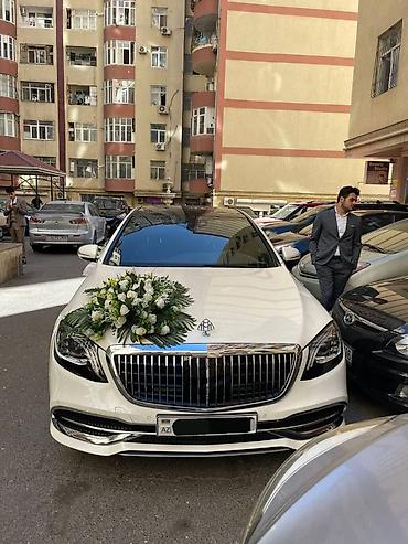 daxili turlar: #toy #nişan və digər tədbirlər üçün sifariş edə bilərsiz. ( qiymət — 8