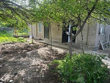 60: 20 м², 2 комнаты, Джунхай рынок, Только девушкам — 1