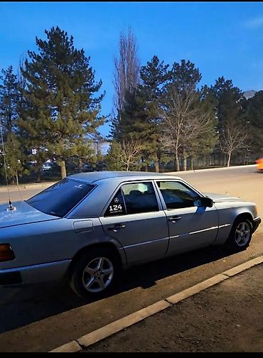 Mercedes-Benz: Mercedes-Benz W124: 1992 г., 2.9 л, Ручные, Дизель, Седан — 8