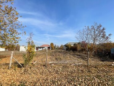 Torpaq sahələrinin satışı: Tikinti, Mülkiyyətçi, Kupça (Çıxarış) -da lalafo.az — 9 Torpaq sahələrinin satışı: Tikinti, Mülkiyyətçi, Kupça (Çıxarış) — 9