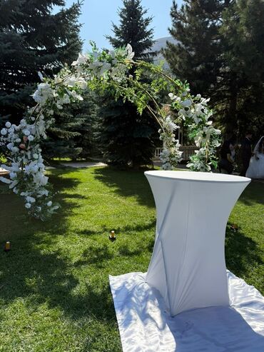 эффект золушки прожектор купить: Аренда декора для свадеб и торжеств - Арка для выездной регистрации