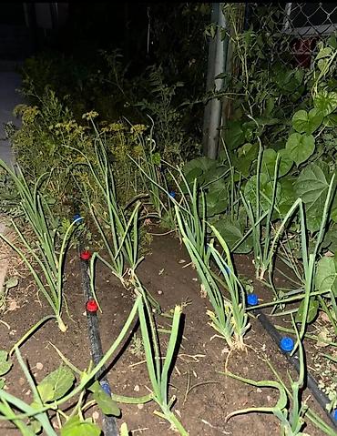 Установка другой техники: 🚨 УСТАЛИ ТАСКАТЬ ВЕДРА? 💧 КАПЕЛЬНЫЙ ПОЛИВ "ПОД КЛЮЧ" — ЗАБУДЬТЕ О — 8