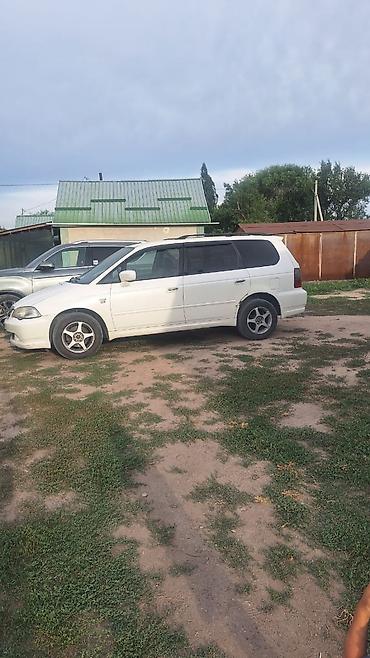 orthia: Honda Orthia: 2002 г., Автомат, Бензин, Универсал — 1