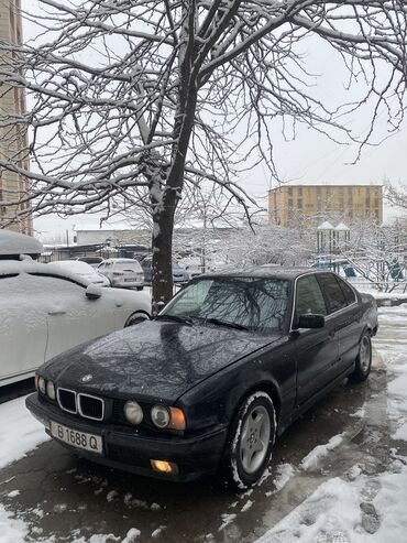 BMW: BMW 5 series: 1994 г., 2 л, Механика, Бензин, Седан — 2