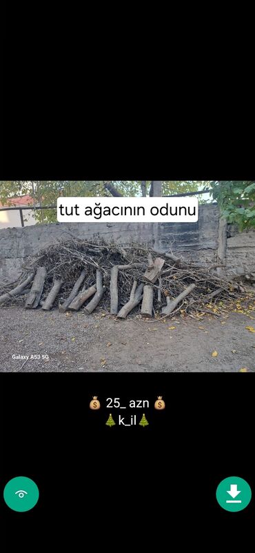 Çornıy pol: Taxdalar Atmalar cornu pol ve odunlar şekillerde qiymətler məlumatlar -da lalafo.az — 5 Çornıy pol: Taxdalar Atmalar cornu pol ve odunlar şekillerde qiymətler məlumatlar — 5