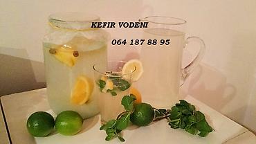 mini begonije: KEFIR VODENI JAPANSKI KRISTALI. Očistite i podmladite svoj organizam — 4
