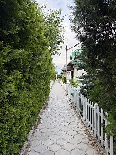 комната токмок: Коттедж, Royal beach, Чок-Тал, 20+ орун — 3
