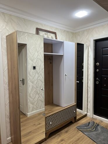 Dolablar: İşlənmiş, Açılan, 1 qapı Düz dolab, Dəhliz dolabı