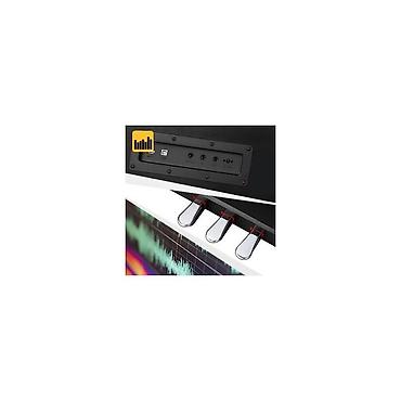 Klaviri i klavijature: 100% Nov i neraspakovan u kutiji. Strauss Rottman Grand Piano – — 10