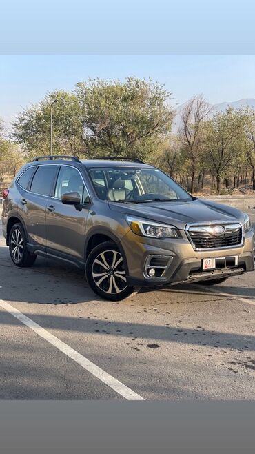 подсветка в авто: Subaru Forester: 2020 г., 2.5 л, Автомат, Бензин, Кроссовер
