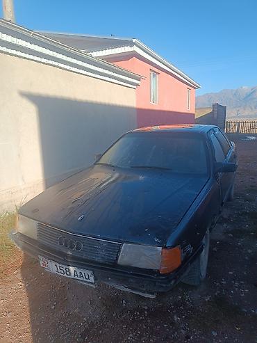 Audi: Audi 100: 1989 г., Седан — 3