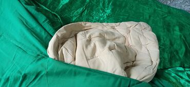 Pledlər: Pled — 12