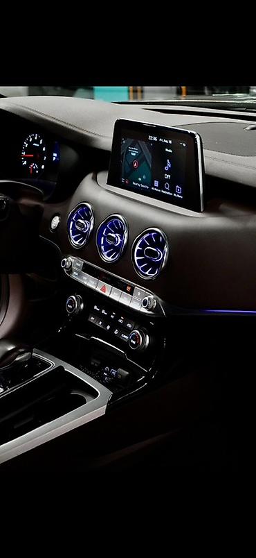 mark х: Kia Stinger: 2019 г., 2 л, Типтроник, Бензин, Лифтбек — 5