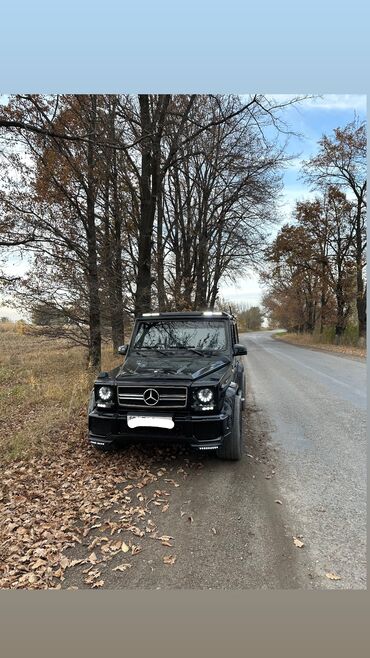 Mercedes-Benz: Mercedes-Benz G-Class: 1995 г., 3 л, Автомат, Дизель, Внедорожник