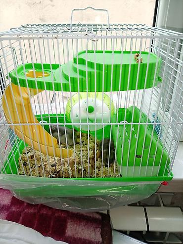 qefəs: Cücə hamsterlər üçün tam komplekt qəfəs dəsti. Şəkillərdə görünən — 2