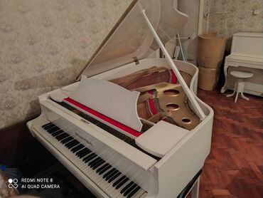 Pianolar: Piano, Yeni, Pulsuz çatdırılma