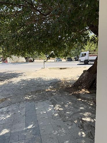 astarada ev satilir: Zığ qəs. 3 otaqlı, 105 kv. m, Orta təmir — 6