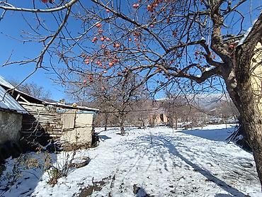 Həyət evləri və villaların satışı: 2 otaqlı, 15 kv. m, Kredit yoxdur — 5