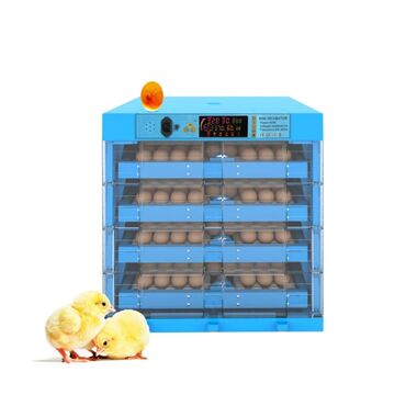 Dərman səpən aparatlar: 300 yumurta, Çin, Fabrik istehsalı, Tam avtomat, Bütün növ quşlaq üçün