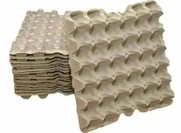 котик бишкек: 150 шт