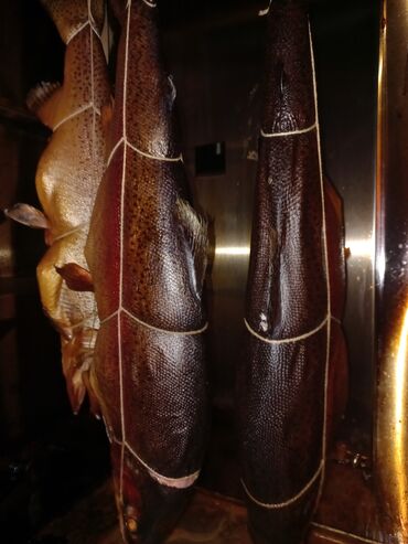 Другие услуги: Предлагаем услуги копчения любого мяса, птицы, рыбы. Копчение по — 8