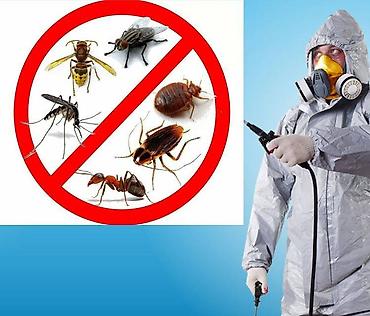 Дезинфекция, дезинсекция: Дезинфекция, дезинсекция, | Мыши и крысы, Клопы, Муравьи, | Дома, Квартиры, Кафе, магазины at lalafo.kg — 6 Дезинфекция, дезинсекция: Дезинфекция, дезинсекция, | Мыши и крысы, Клопы, Муравьи, | Дома, Квартиры, Кафе, магазины — 6