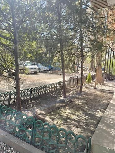 Продажа квартир: 3 комнаты, 61 м², Индивидуалка, 1 этаж — 12