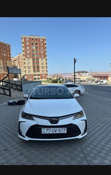 Toyota Corolla: 1.6 л | 2023 г. Седан