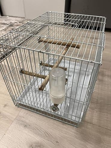 Үй жаныбарлары үчүн товарлар: Клетка для попугаев, птиц (канареек, амадин, волнистых попугаев и др.) — 2