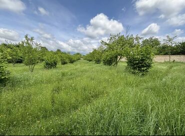 Torpaq sahələrinin satışı: 22 sot, Mülkiyyətçi, Kupça (Çıxarış) -da lalafo.az — 7 Torpaq sahələrinin satışı: 22 sot, Mülkiyyətçi, Kupça (Çıxarış) — 7