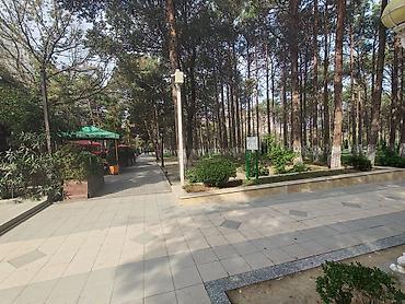 pasyolka kirovda heyet evleri: Kafe restoran icareye verilir Tam temirli letni zimni yeri var stol — 2