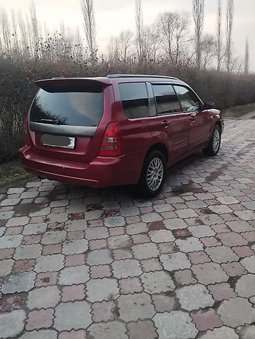 Subaru: Subaru Forester: 2002 г., 2 л, Автомат, Бензин, Универсал — 8