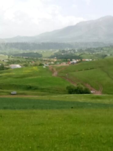 maştağada torpaq satılır: 106 sot, Kənd təsərrüfatı, Barter mümkündür, Kupça (Çıxarış)