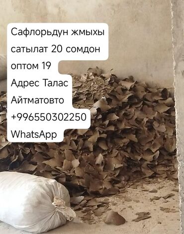 продажа щенков немецкой овчарки в бишкеке с документами: Сафлоровый жмых в лепестках (маслосемена сафлора, шрот/жмых). -