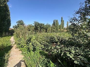 Продажа коттеджей и домов: Продаётся дом с огромным участком (35 сот) с. Прохладное возле — 15