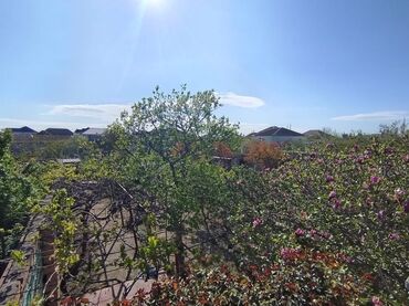 Həyət evləri və villaların satışı: Sabunçu rayonu Maştağa qəsəbəsi ərazisində Zabrat Maştağa yolunun -da lalafo.az — 7 Həyət evləri və villaların satışı: Sabunçu rayonu Maştağa qəsəbəsi ərazisində Zabrat Maştağa yolunun — 7