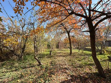 Продажа домов: Дача, 40 м², 2 комнаты, Агентство недвижимости — 7