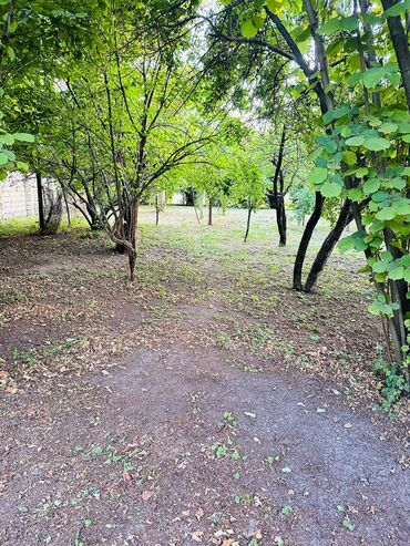 Torpaq sahələrinin satışı: 6 sot, Tikinti, Mülkiyyətçi, Kupça (Çıxarış) — 4