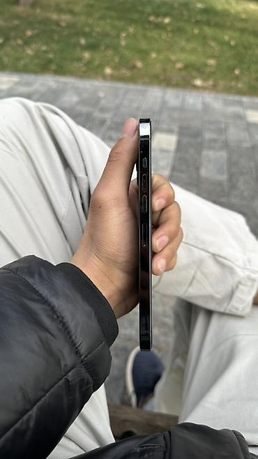 Apple iPhone: IPhone 13 Pro Max, 256 ГБ, Серебристый — 7