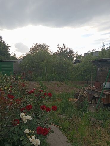 Продажа домов: Дом, 115 м², 5 комнат, Собственник, Косметический ремонт at lalafo.kg — 5 Продажа домов: Дом, 115 м², 5 комнат, Собственник, Косметический ремонт — 5