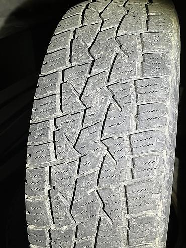 terrain: Шины 215 / 70 / R 16, Б/у, Комплект, Внедорожные (АТ/МТ) — 7