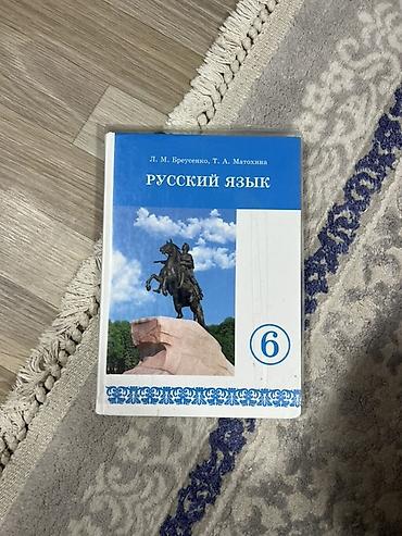 Русский язык и литература: Комплект школьных учебников для 6 класса С ОБЛОЖКАМИ ГОТОВЫЕ Состав — 38