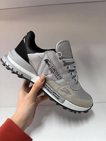 Patike: Lacoste muške patike – lifestyle/urban trail model - Dizajn sa — 2