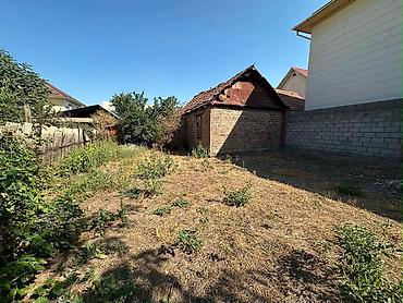 гоголя 113: 4 соток, Красная книга — 2