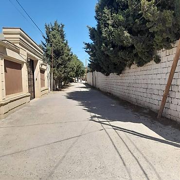 baxca: 3 sot, Kənd təsərrüfatı, Mülkiyyətçi, Kupça (Çıxarış) — 10
