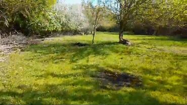 Torpaq sahələrinin satışı: 85 sot, Kənd təsərrüfatı, Mülkiyyətçi, Kupça (Çıxarış) -da lalafo.az — 2 Torpaq sahələrinin satışı: 85 sot, Kənd təsərrüfatı, Mülkiyyətçi, Kupça (Çıxarış) — 2