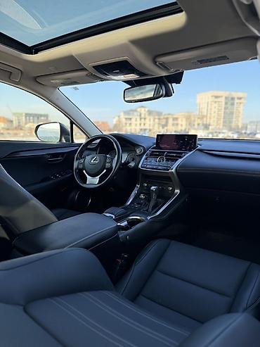 Lexus: Lexus NX: 2020 г., 2 л, Автомат, Бензин, Кроссовер — 9