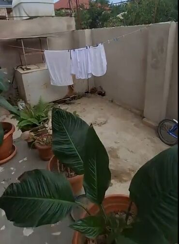 Həyət evləri və villaların satışı: 3 otaqlı, 90 kv. m, Orta təmir -da lalafo.az — 2 Həyət evləri və villaların satışı: 3 otaqlı, 90 kv. m, Orta təmir — 2