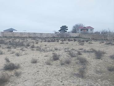 turkanda bağ evi: 6 sot, Tikinti, Makler, Kupça (Çıxarış), Texniki pasport — 5