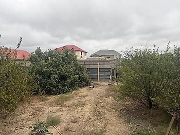 yeni emlak az: 5 otaqlı, 350 kv. m, Kredit yoxdur, Təmirsiz — 9